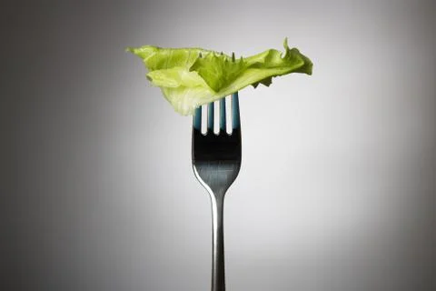 One lettuce leaf on a vertical fork Stock Photos