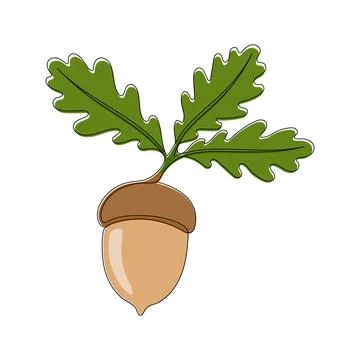 One line art acorn. Single line art. Autumn theme background Editable stroke Stock Illustration