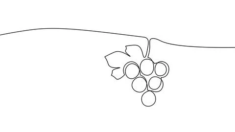 One line continuous grapes fresh fruit symbol concept. Silhouette of vegan Stock-Illustration