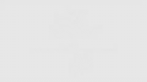 One Line Drawing Animation of a Tree Growing from Soil Representing Nature a Stock Footage 319746315