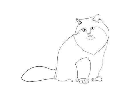 One line drawing of the cat in modern minimalistic style, line illustration Stock Illustration