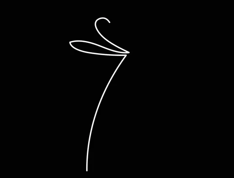 One line drawing, continuous drawing, one line flower sketch, flowers minimalism Stock Footage 170335197
