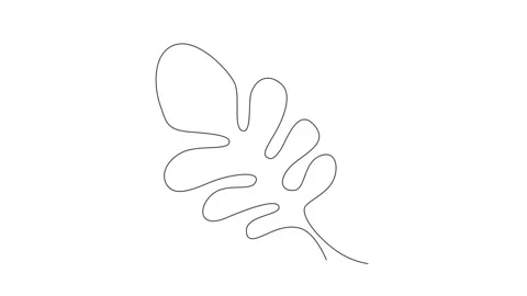 One Line Drawing Eucalyptus Leaf Twig Animation, One Line Drawing Palm Tree Leaf Stock Footage 239338268