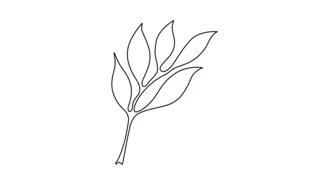 One Line Drawing Eucalyptus Leaf Twig Animation, One Line Drawing Palm Tree Leaf Video stock 239338272