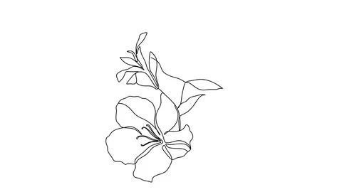 One line drawing flower, nature, beautiful, natural, floral, garden Stock Footage