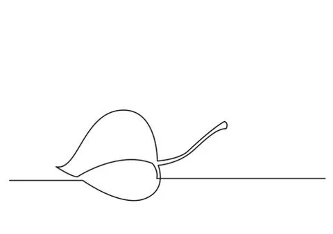 One line drawing of isolated vector object - tree leaf Illustrazione stock