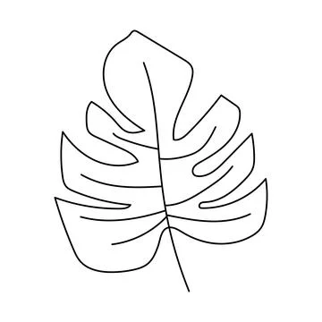 One line drawing monstera leaf or palm tree leaf. Summer modern single aest.. Stock Illustration