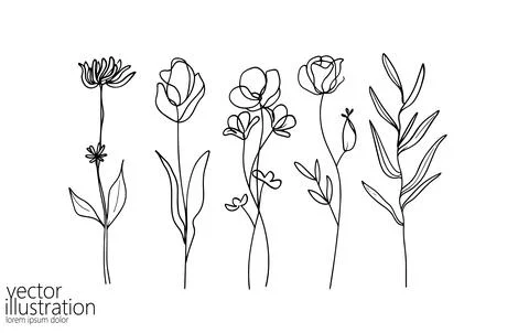 One line floral set element. Black and white monochrome continuous single line Stock-Illustration