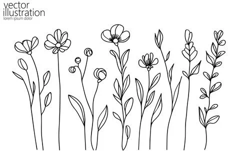 One line floral set element. Black and white monochrome continuous single line Stock Illustration