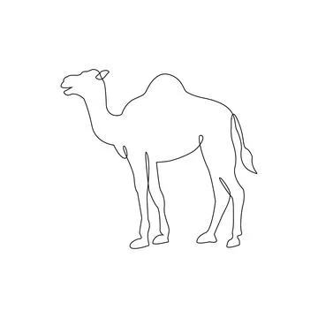 One Line hand drawing Camel outline Icon Stock Illustration