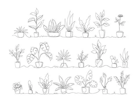 One line. Home plants. Continuous monoline pots with tropical greenery and Stock Illustration