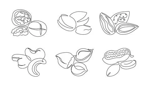 One line nuts. Continuous line healthy nutrition, walnuts pistachios hazelnut Stock Illustration