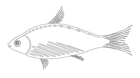One line simple animation drawing of single continuous contour of fish. Hand Stock Footage 129715677