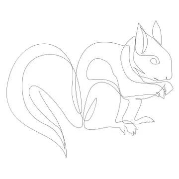 One line squirrel drawing. Squirrel in minimal line style vector illustration 스톡 일러스트