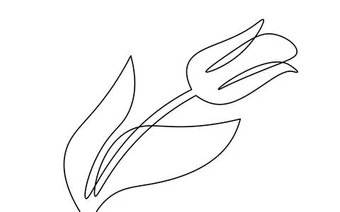 One line tulip flower element. Black and white monochrome continuous single line Stock-Illustration