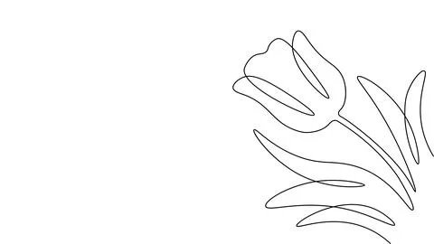 One line tulip flower element. Black and white monochrome continuous single line Stock Illustration