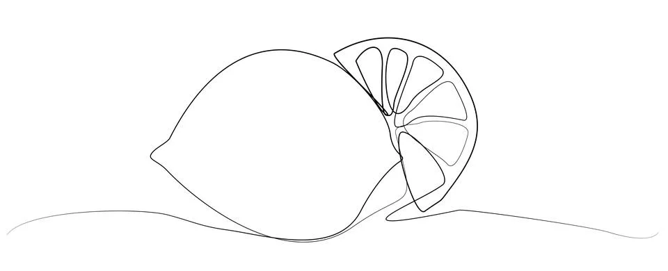 One line Vector drawing lemon and slice.  Stock Illustration