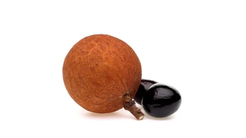 One longan fruit and one seed rotating on white background. Stock-Footage 160144997