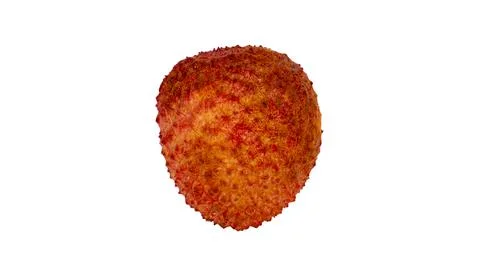 One lychee is placed on a white background. Stock Photos
