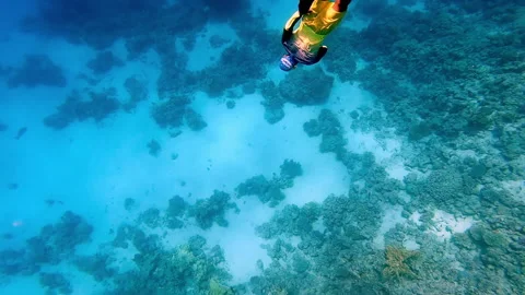 One man dive on breath. Stock Footage 164404867