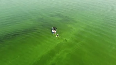 One man rides a wakeboard behind a boat in green pearl water Stock Footage 135820455