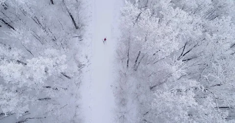 One man is skiing through a snow-covered frozen forest. Aerial top down view, 4K Stock Footage 123649418