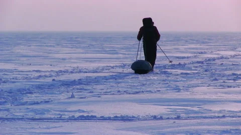 One Man In The Snow Desert Stock Footage 49928035