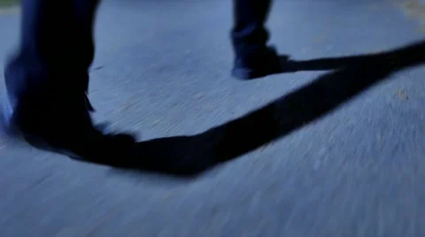 One man walking alone trough city park at night. spooky scary silhouette shadow Stock Footage 56457920