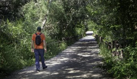 One man walking along a path in the woods during a sunny day Stock Photos