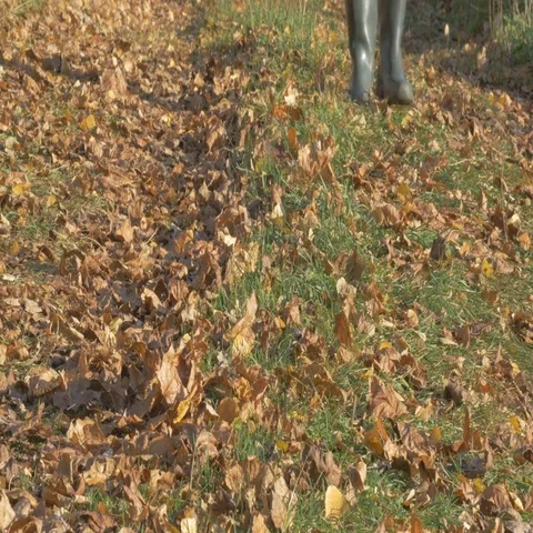 One man, walking along the road in the village at autumn day. Shallow focus Stock Footage 69714403