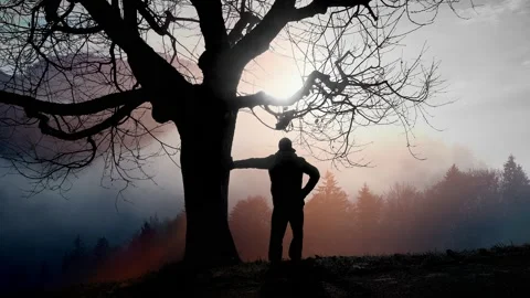 One Man Walking in Mountain Landscape Scenery Stock Footage 168094276