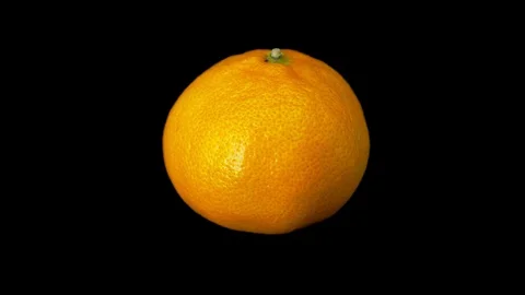 One mandarin rotates on a black background. Close-up. Stock Footage 118964623