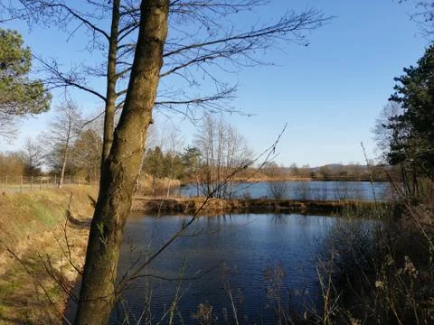 One of many  FISH_LAKES Stock Photos