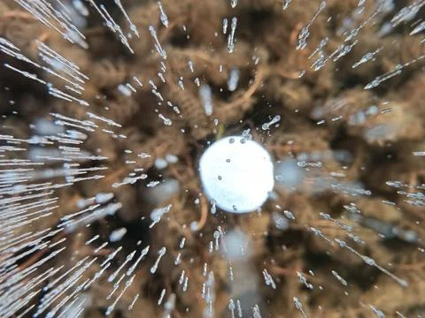 One methane bubble among many small bubbles in the ice Stock Photos