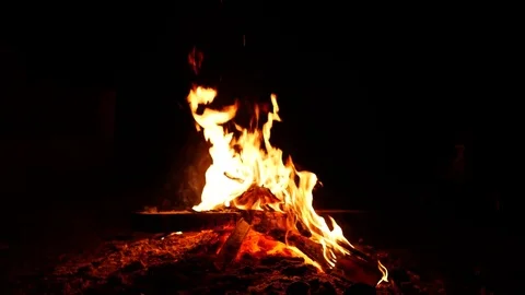 One minute of a cosy campfire while camping in the woods Video stock 82455017