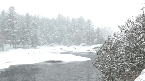 One minute long pan shot of pretty nature winter scenery with river and forest Vidéo 104563545