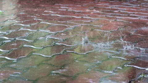 One Minute Rain on Brick in 4K Stock Footage 171460431
