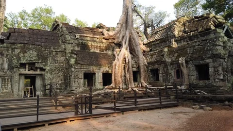 One of the most famous temples of Angkor, TA Prohm  Stock Footage 105985597