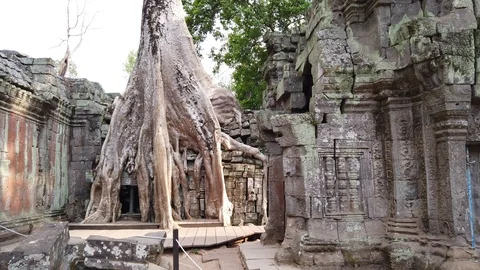 One of the most famous temples of Angkor, TA Prohm  Stock Footage 106233406