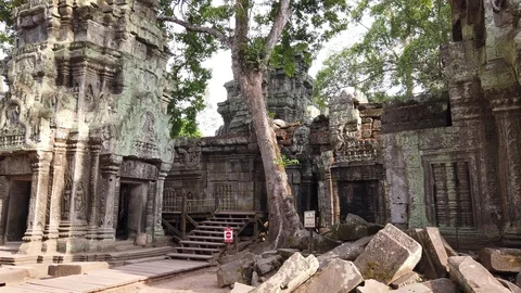 One of the most famous temples of Angkor, TA Prohm  Stock Footage 106234352