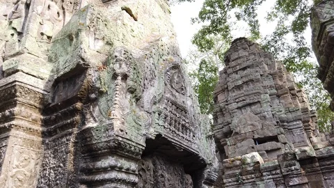 One of the most famous temples of Angkor, TA Prohm  Stock Footage 106235243