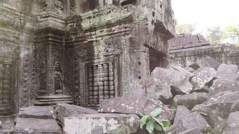 One of the most famous temples of Angkor, TA Prohm  Stock Footage 106237339