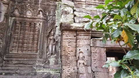 One of the most famous temples of Angkor, TA Prohm  Stock Footage 106241859