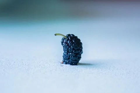 One mulberry Foto stock