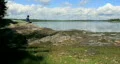 One with Nature HD Footage