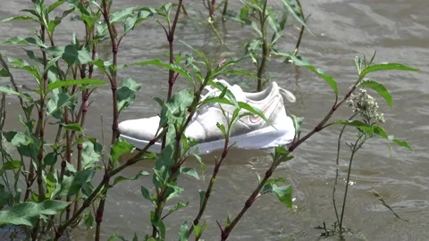 One Nike sneaker floating in the current of the river Stock Footage 157333856
