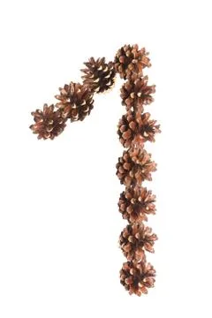 One number made of pine cone Stock Photos