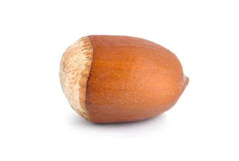 One nut Stock Photos