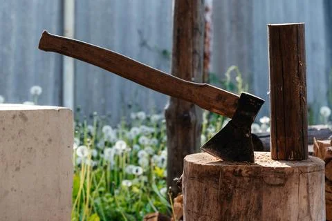 One old hatchet inserted in a stump in the area outdoors Stock Photos