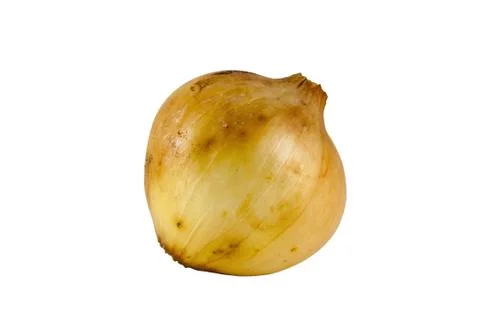 One onion Stock Photos